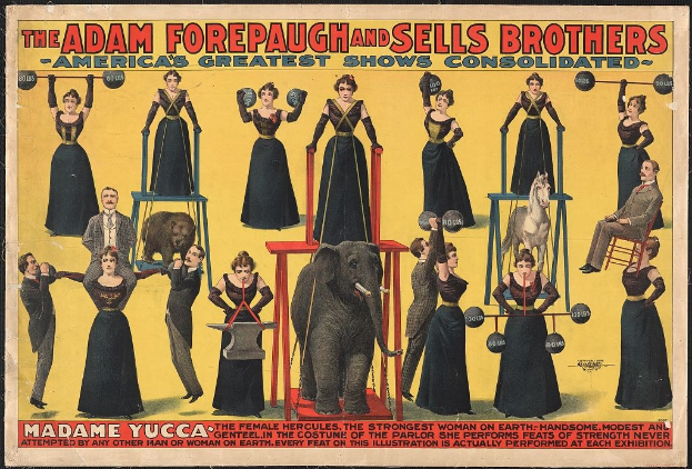 Plakat für Adam Forepaugh und Sells Brothers Circus mit Performern auf Hockern und einem Elefanten in der Mitte sowie Werbetext.