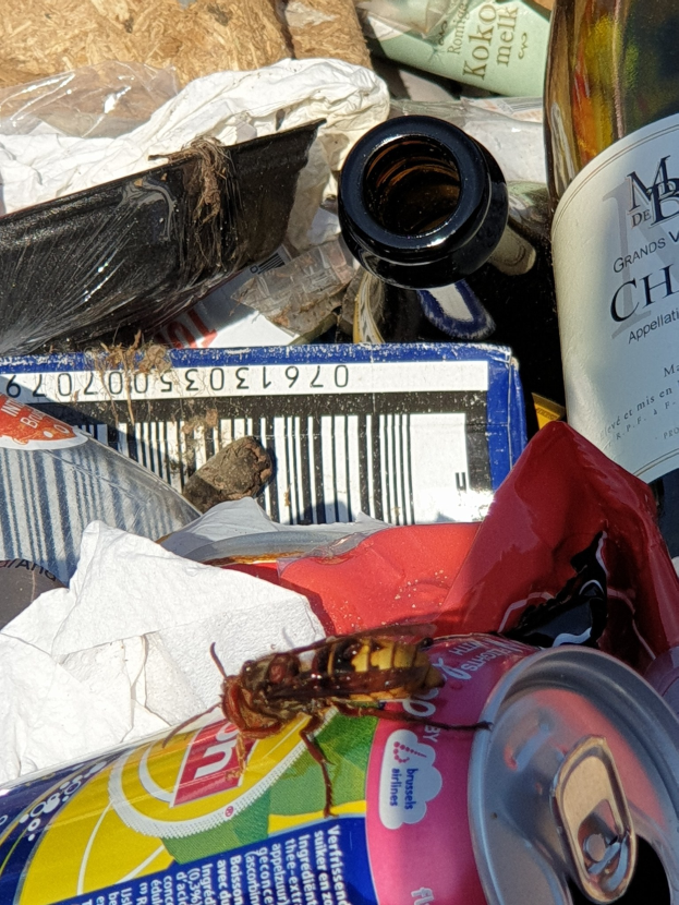 Eine Flasche Wein auf einem Haufen ausgemusterter Gegenstände, darunter eine Dose und Papier.