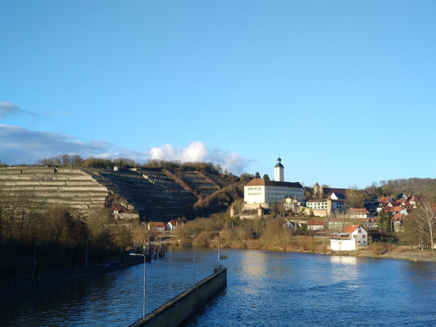 Ein malerischer Blick auf den Rhein in Deutschland, mit einer Brücke, Laternen, Bäumen, Gebäuden entlang der Flussufer und einem Hügel im Hintergrund bei einem bewölkten Himmel.