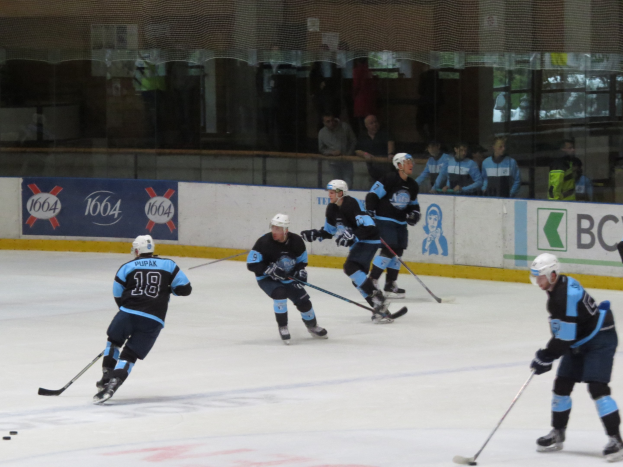 Gruppe von Menschen in Sportkleidung beim Eishockey auf einem Eisstadion, jeder hält einen Hockeystock, mit Zuschauern durch Glaswände sichtbar.