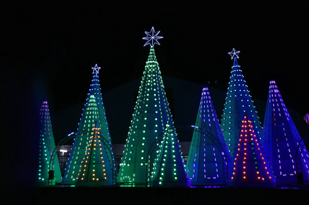 Eine Gruppe von Weihnachtsbäumen, die mit bunten Lichtern beleuchtet sind und mit Sternen geschmückt werden, schaffen eine festliche Atmosphäre.