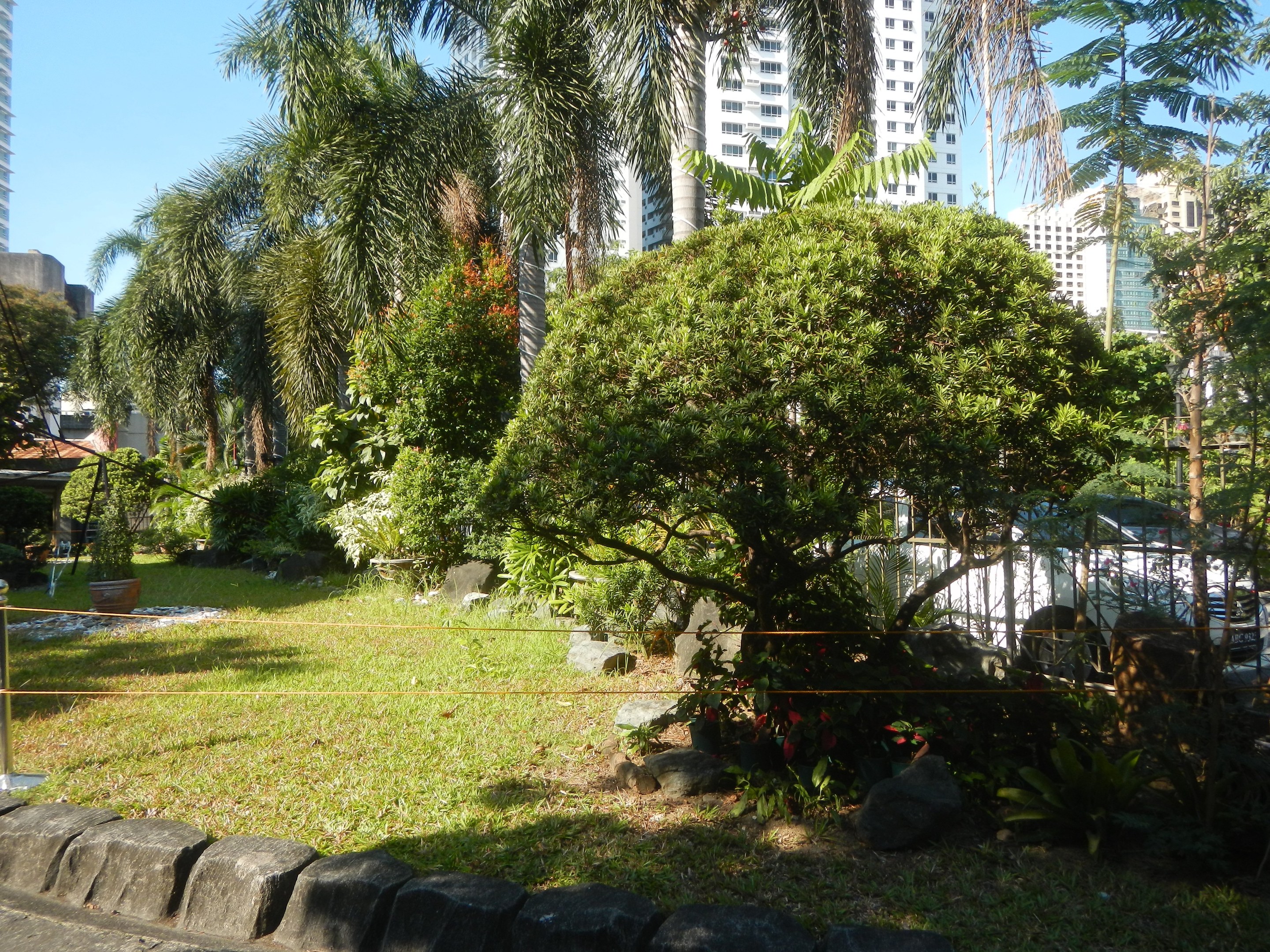 Ein grüner Park mit vielfältiger Vegetation, Felsen und einem umliegenden Zaun, vor tall buildings und einem klaren blauen Himmel.