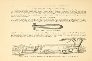 Ein altes Buch mit einer Zeichnung einer Kuh, die einen Wagen zieht, mit einem Baum im Hintergrund und der Inschrift "Einfang von Haustieren" auf der Seite.