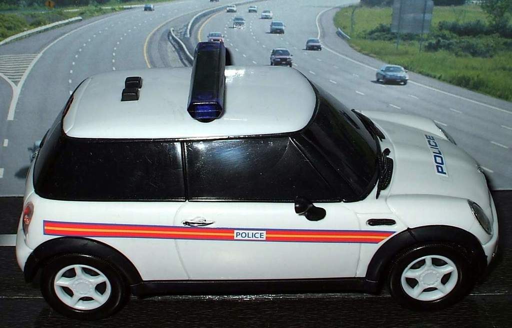 Weißer Polizeiwagen mit der Aufschrift "Polizei" an der Seite, gefolgt von mehreren Fahrzeugen auf einer Straße, die von Gras und Bäumen gesäumt ist.