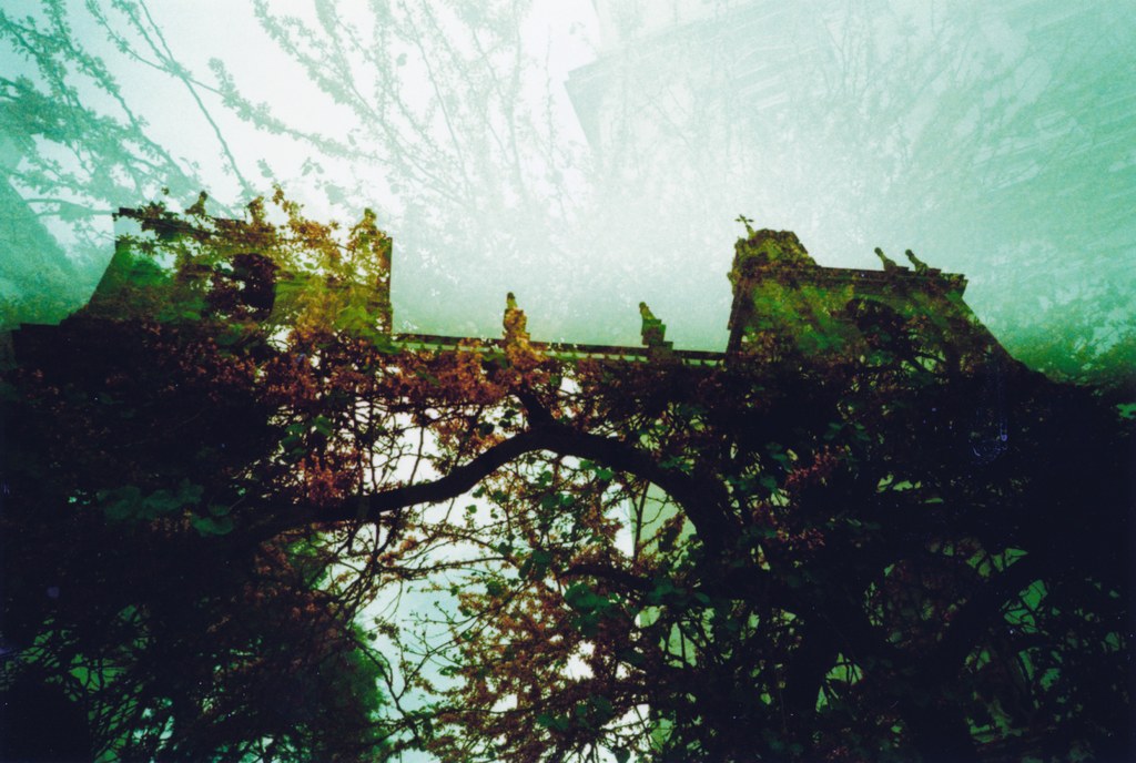 Bäume in der Nähe einer historischen Struktur mit einer Brücke im Hintergrund.